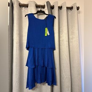Blue Sam Edelman dress